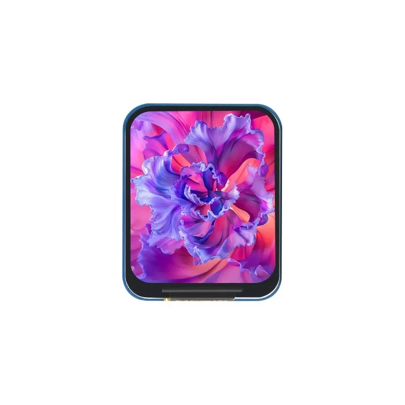 Modulo LCD IPS da 1,69 pollici - Pi Display recensione e prezzo